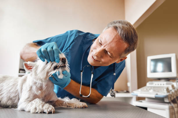 Best Emergency Tooth Extraction in Englishtown, NJ